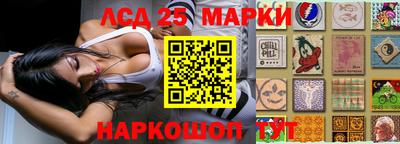 дмт Сланцы