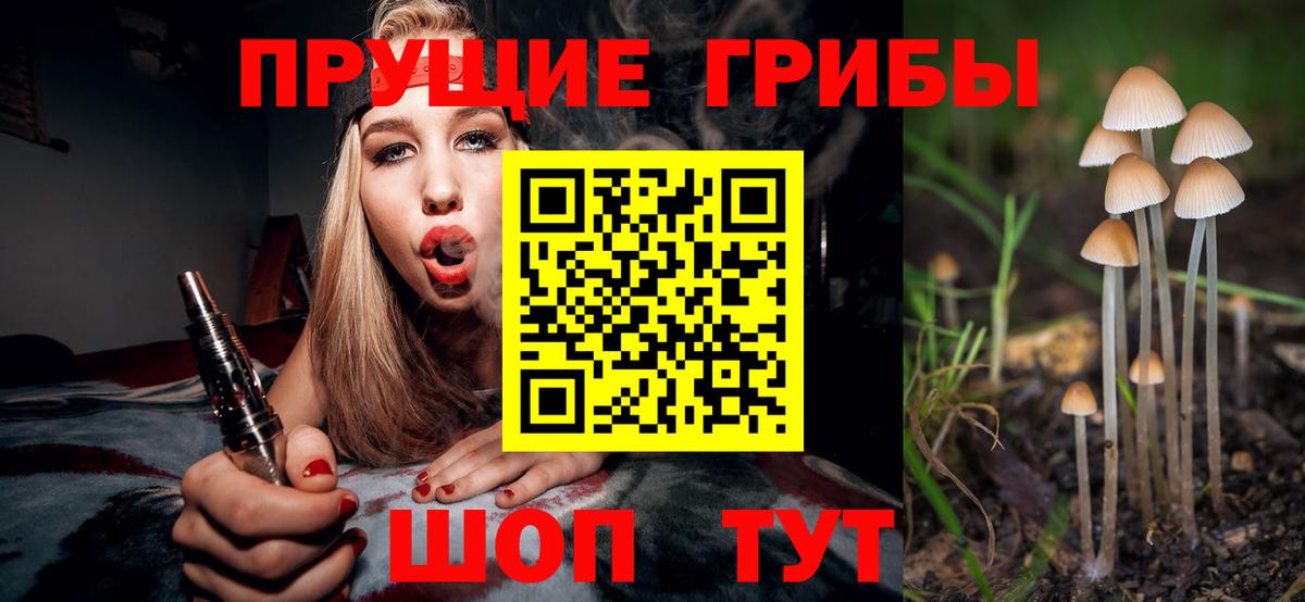 Прохладный  Галлюциногенные грибы мицелий  Вход с VPN 