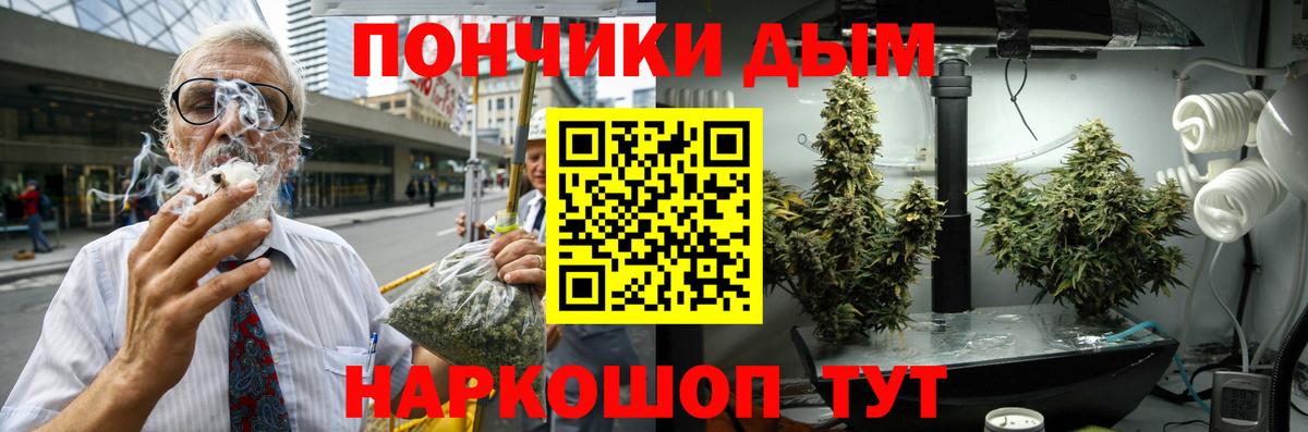 Бошки марихуана OG Kush Прохладный